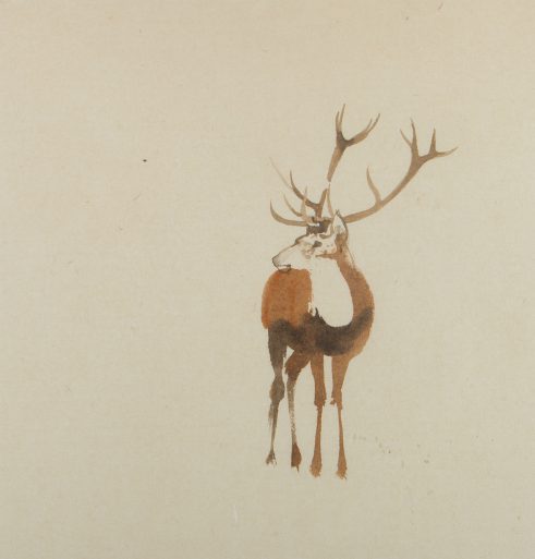 Deer Study I