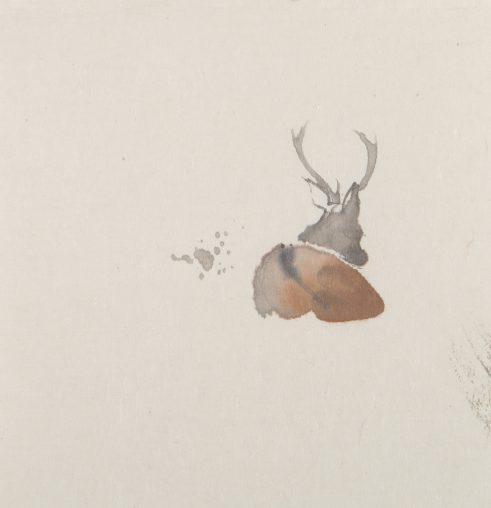 Deer Study IV