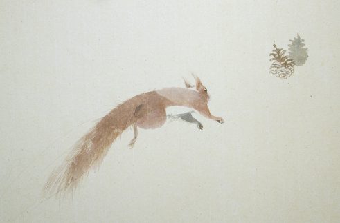Squirrel Leap