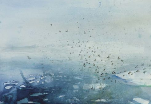 Little Auks, Hyttevika