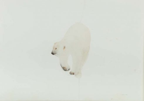 Sea Ice Hunter