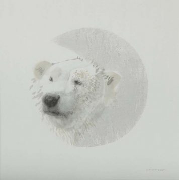 Ice Bear: Stalk