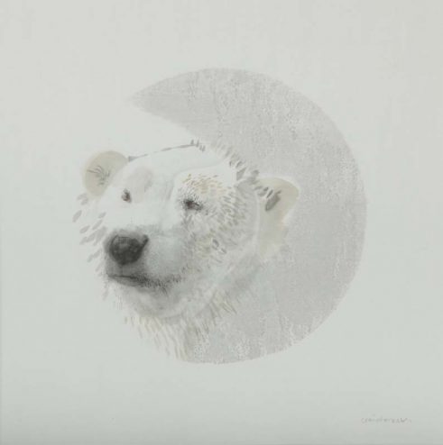 Ice Bear: Stalk