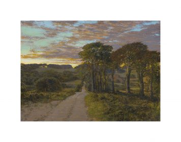 Evening Landscape
