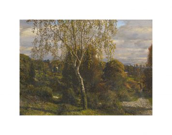 Afternoon Landscape