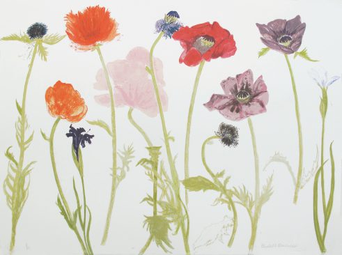 Oriental Poppies