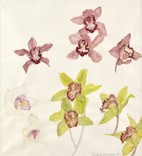 Ten Orchids