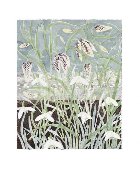 Fritillaries and Snowdrops