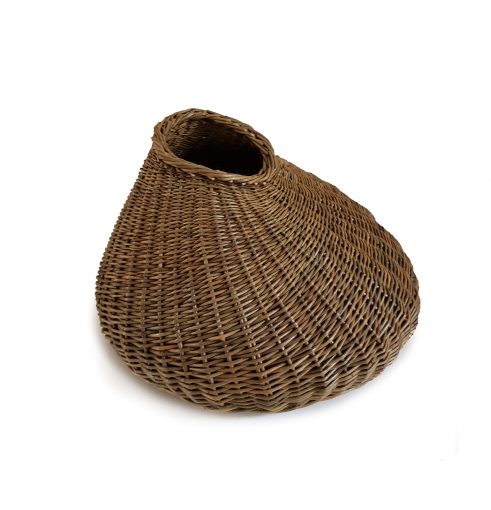 Seed Pod