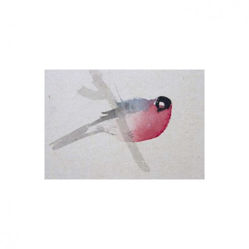 Bullfinch