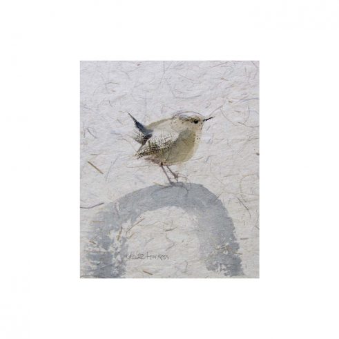 Wren