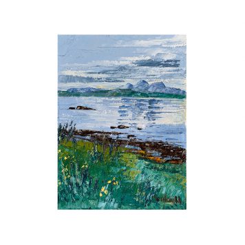 Irises, Loch Sween
