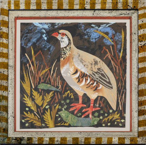 French Partridge