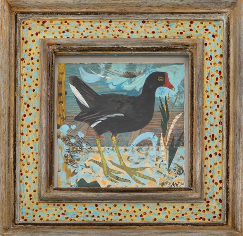 Moorhen