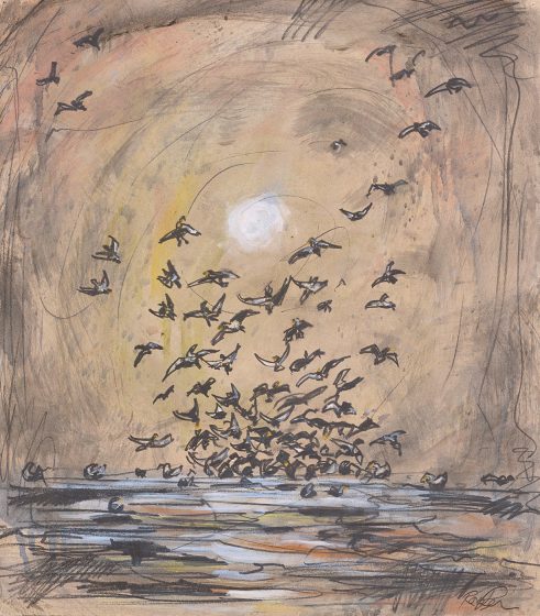 Where the Birds Go (II)