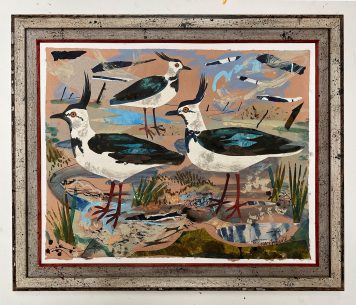 Lapwings