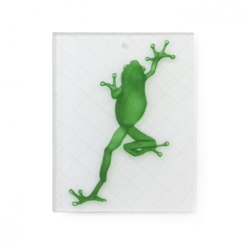 Climbing Frog