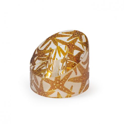 Starfish Paperweight