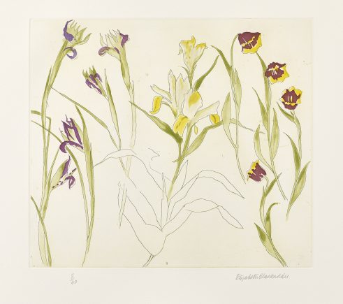 Irises, Lilies, Tulips
