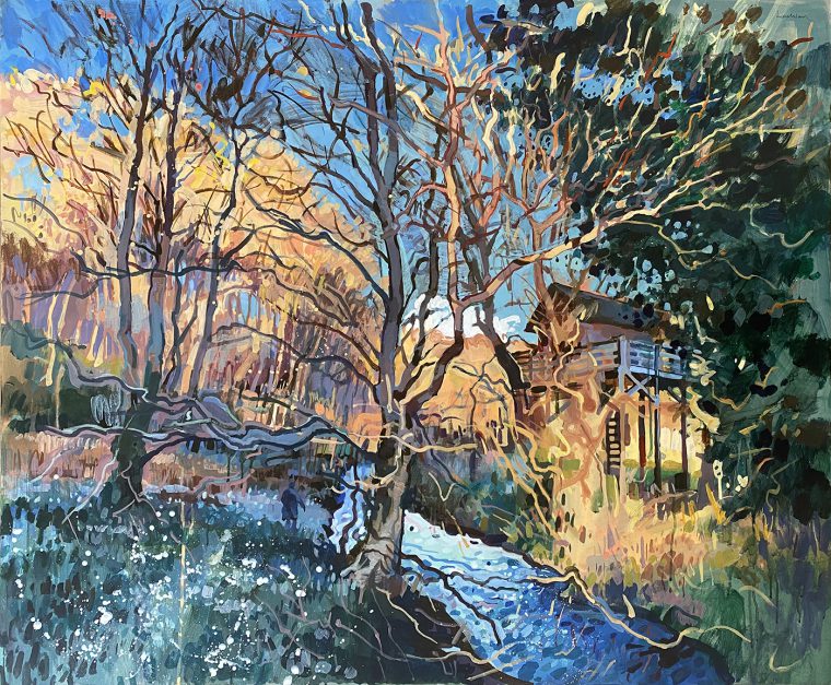 Winter in the Berwickshire Woods
