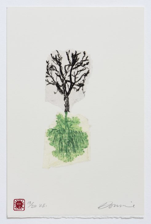 Root Metaphor (in Covid Times) Willow/Sorbus
