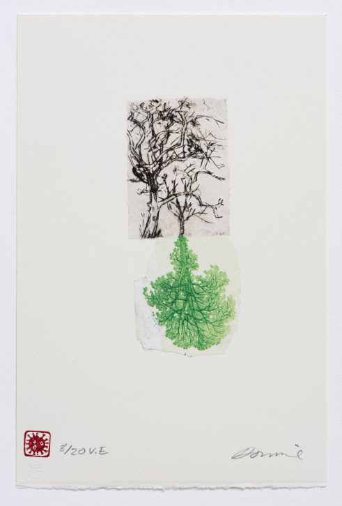 Root Metaphor (in Covid Times) Lime/Hawthorn