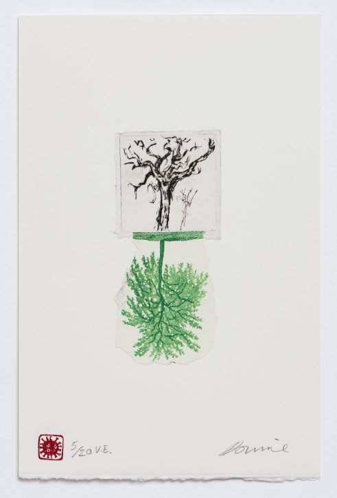 Root Metaphor (in Covid Times) Birch/Hawthorn