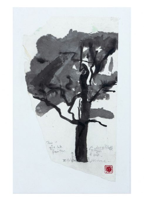 The Oak Canopy