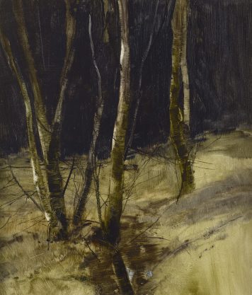 Middleton Wood