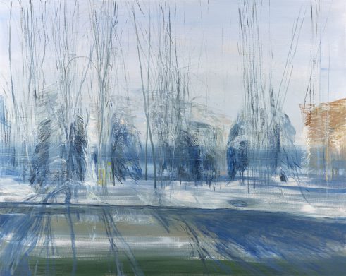 Outskirt Woodland in Winter