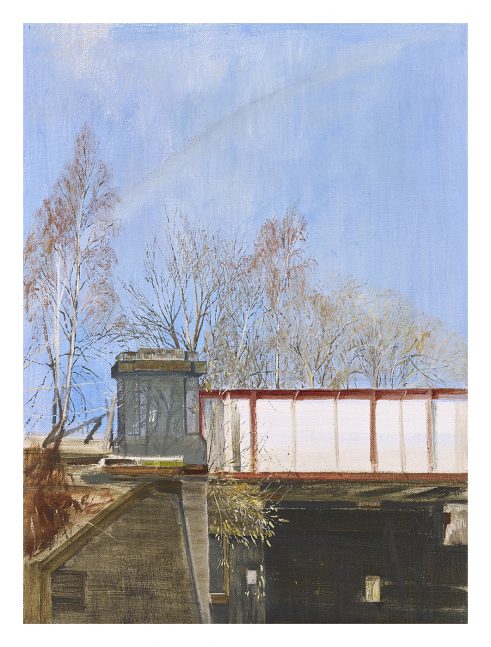 Buddleia and Railway