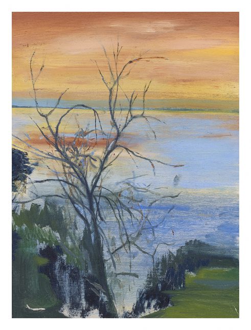 Gulf of Trieste from the Train