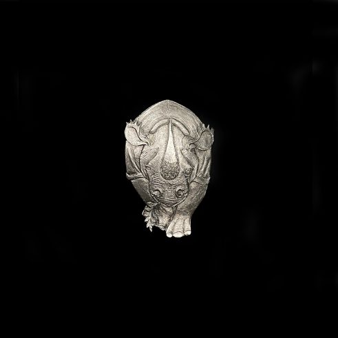 Conservation Kalahari Pin