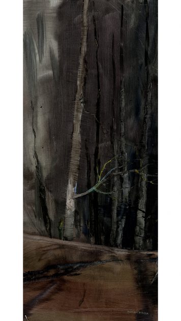 Augusta’s Walk, 31.vii.2011