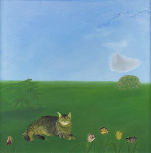 Cat in a Garden