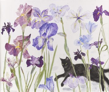 Black Cat and Irises