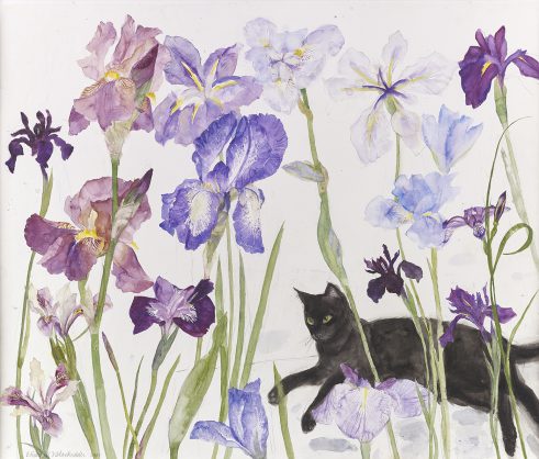 Black Cat and Irises