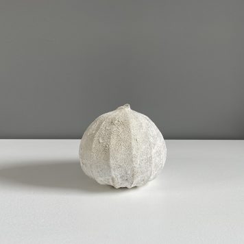 Round Faceted Poppy Pod I