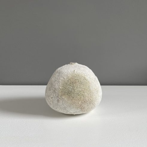 Plain Round Poppy Pod I