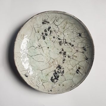 Cell Plate II