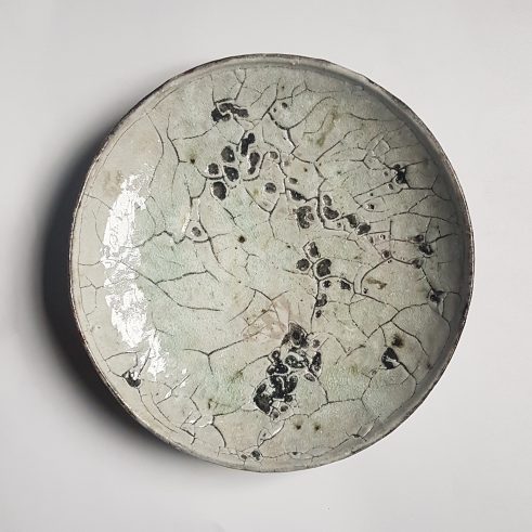Cell Plate II