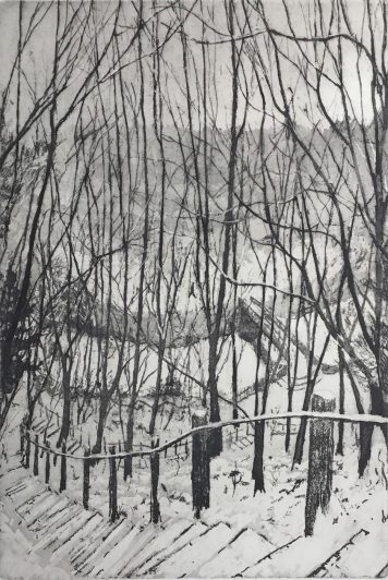 Winter Walk, Water of Leith