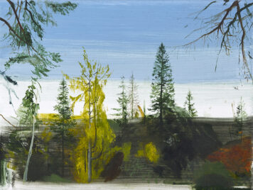 Tall Trees