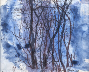 Twilight and Thaw