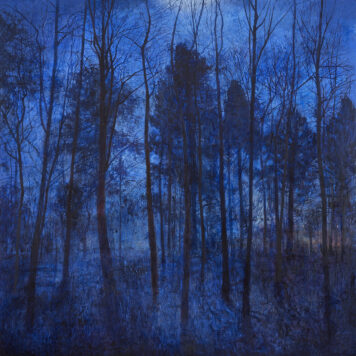 Landscape with Hidden Moon