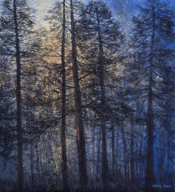 Light Spill, Morning