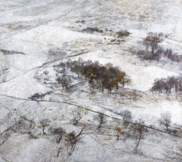 How the Snow Fell