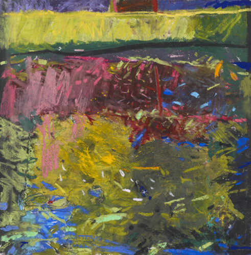 Lily Pond Activity, Branches