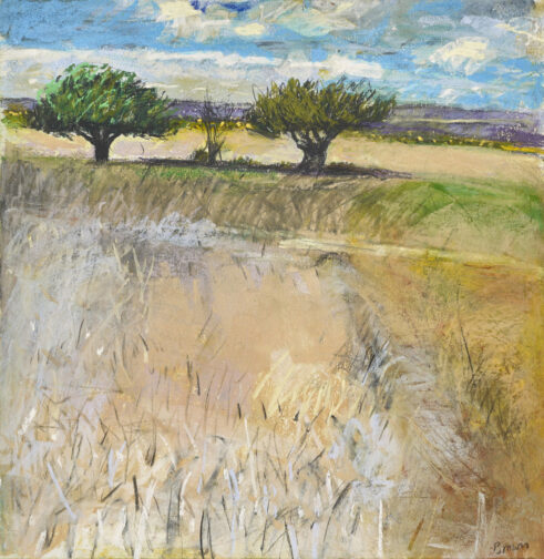 Olive and Fig Trees near Chemilly-sur-Yonne