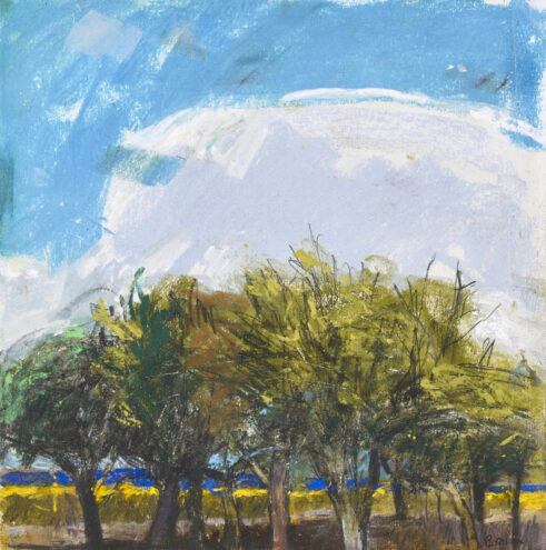 Orchard near Chichery